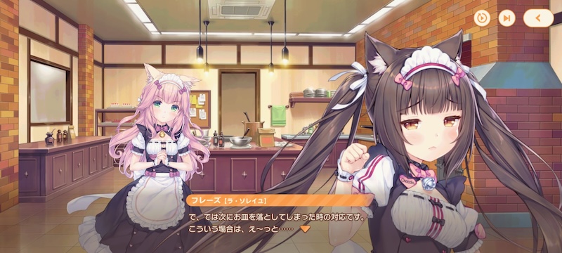 ネココネのストーリー