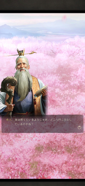 三国志真戦のストーリー