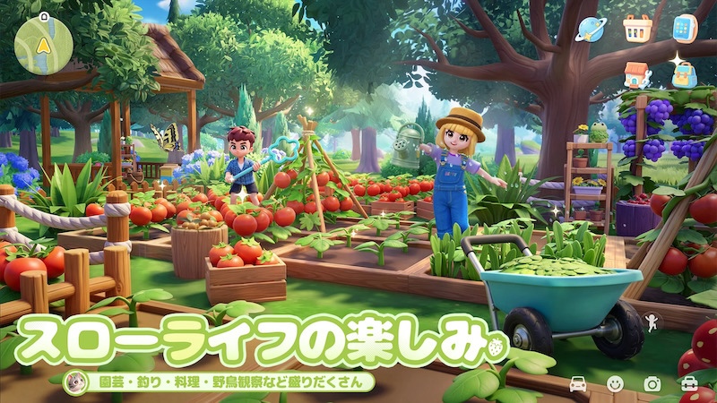 ハートピアスローライフの農園